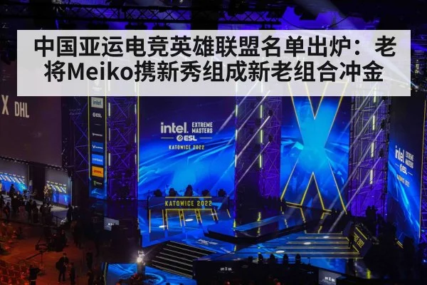 中国亚运电竞英雄联盟名单出炉:老将Meiko携新秀组成新老组合冲金